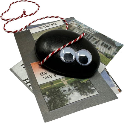 Rock Pet Adoption Kit Funny Novelty Gag Gift (Green Eyes)