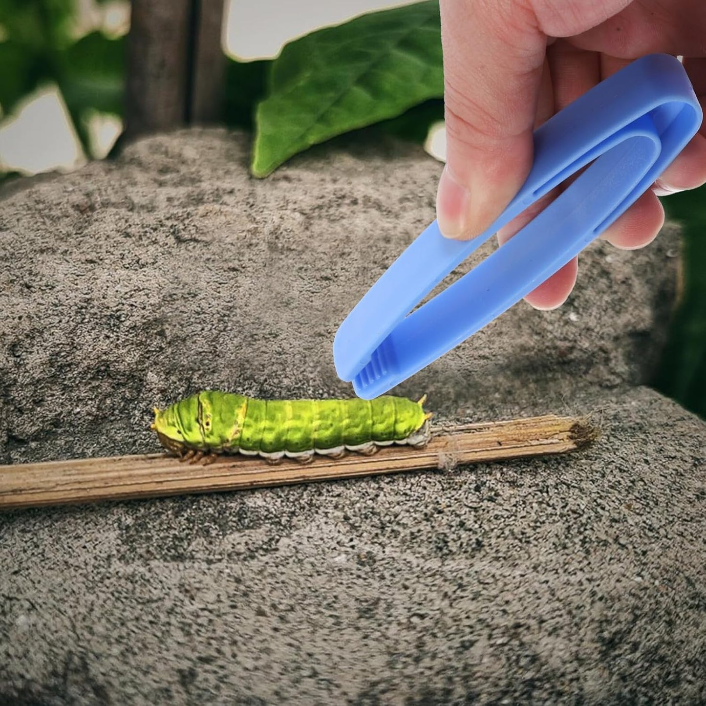 20PCS Toddler Plastic Tweezers Sensory Tongs Experiments Toy Tweezers Craft Non-slip Plastic Teaching DIY Craft Project Accessories Beading Kit
