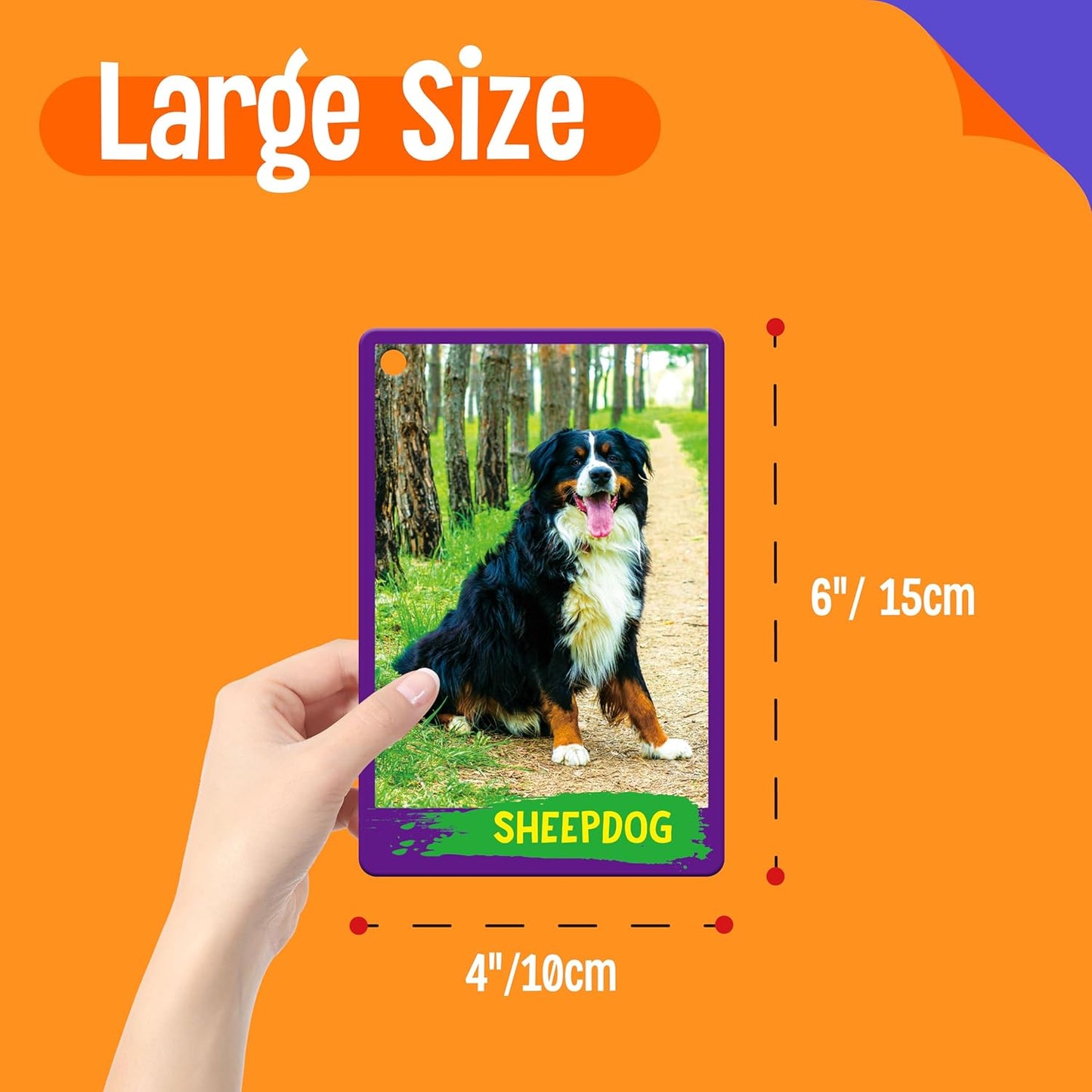 50 PCS Kid First Cognitive Flashcards,Double Sided Printed 7 in 1 Colorful Cards Alphabet,Numbers, Foods,Animals,Shapes,Colors with 3 Reclosable Rings,Learning Tool for Pre-K Kindergarten Toddlers