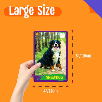 50 PCS Kid First Cognitive Flashcards,Double Sided Printed 7 in 1 Colorful Cards Alphabet,Numbers, Foods,Animals,Shapes,Colors with 3 Reclosable Rings,Learning Tool for Pre-K Kindergarten Toddlers