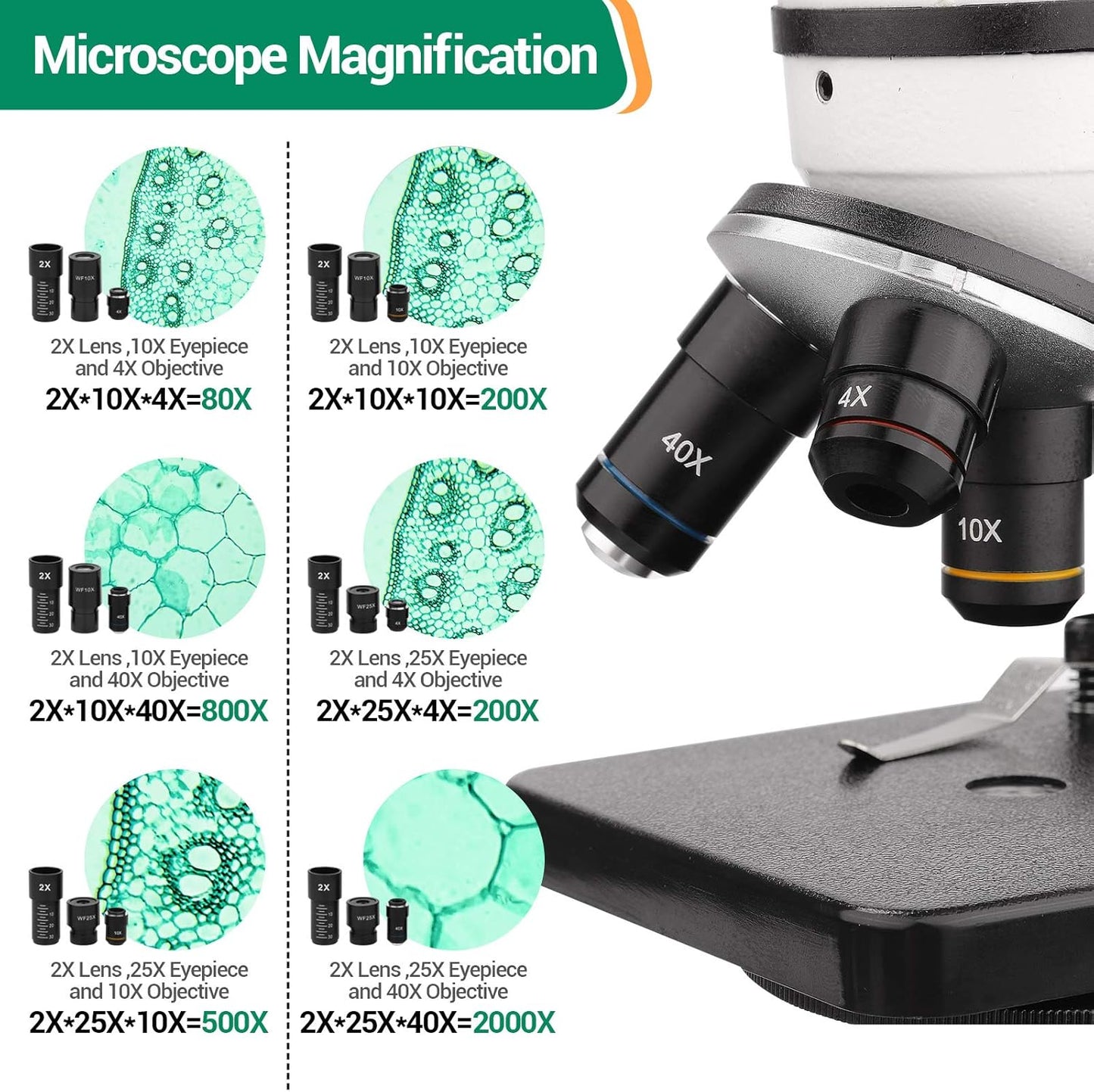 Microscope Kit for Kids Adults Students, 40X-2000X Compound Microscope with Prepared Slides, Dual LED Illumination, All-Glass Optics, Phone Adapter & Carrying Case for Beginners