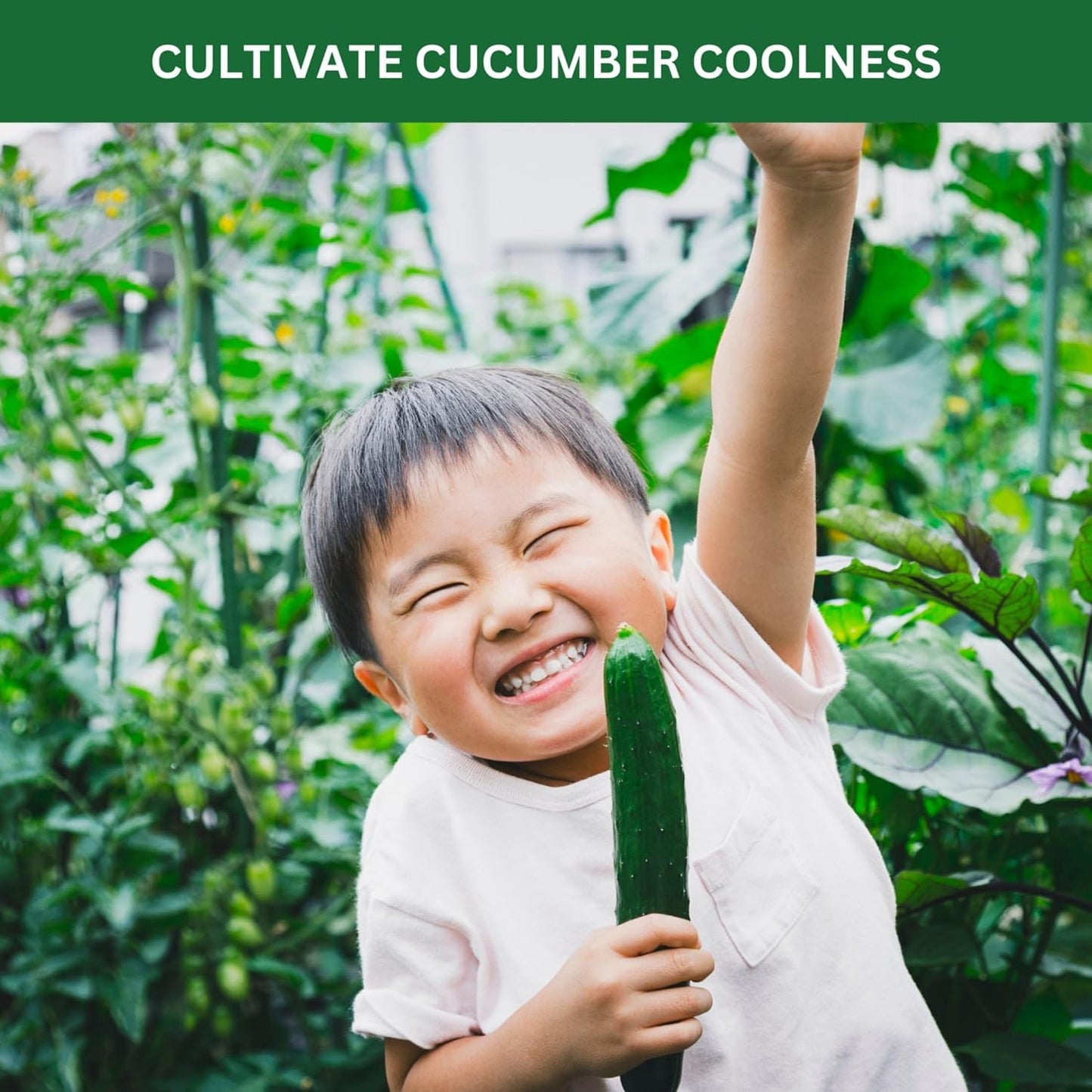 Kids Sunflower Garden Kit – Grow Your Own Sunflowers from Seeds with Greenhouse Germination Domes & Grow Rings, Non-GMO Seeds, BPA-Free | Gardening Gift for Kids & Families, Made in USA