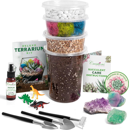 Creations by Nathalie – DIY Large Terrarium Starter Kit with Soil, Moss, Pebbles, Healing Crystal, Tools & Supplies – Terrarium Kit for Adults & Teens, Handcrafted in USA