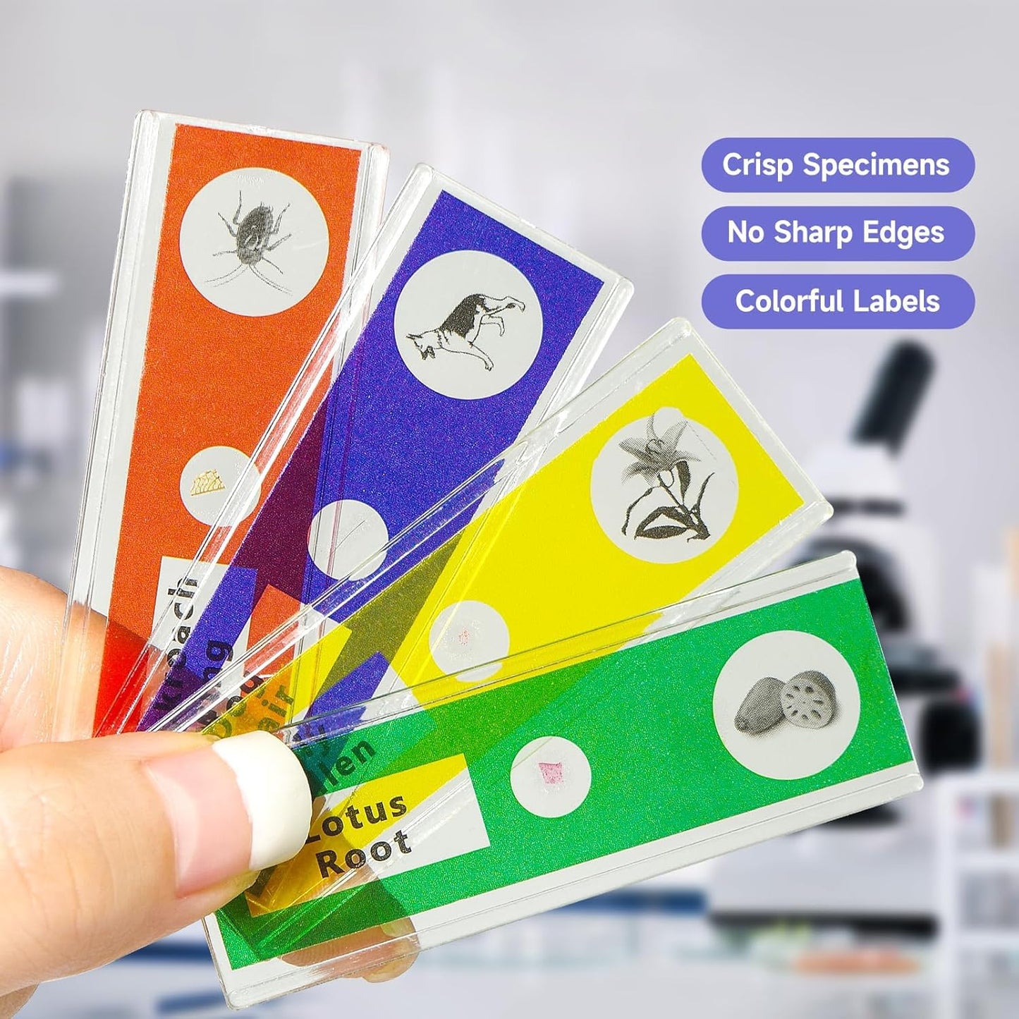 Jiusion 60Pcs Prepared Microscope Slides Specimen Animals Insects Plants Flowers Sample Biological Specimen, Stereo Microscope Slide for Kids Children Students Enlighten Education