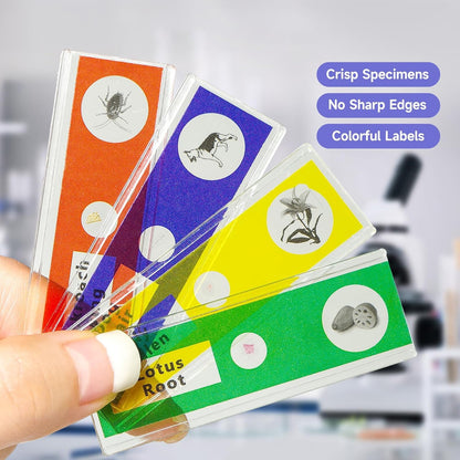 Jiusion 60Pcs Prepared Microscope Slides Specimen Animals Insects Plants Flowers Sample Biological Specimen, Stereo Microscope Slide for Kids Children Students Enlighten Education