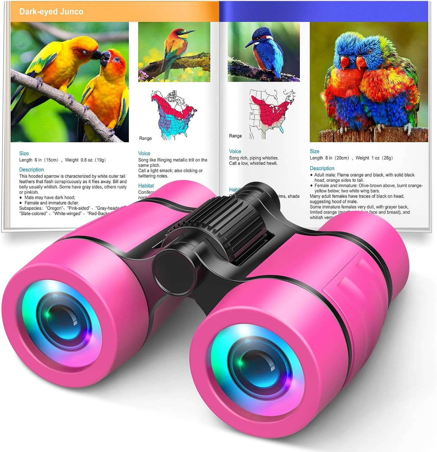 Toys for 3-7 Year Old Boys: LET'S GO! Binoculars for Kids with Bird Watching Manual Easter Birthday Gifts for 4 5 6 7 8 Year Old Boy Girls Outdoor Toy for Kid Ages 5-7 Toddler Camping Telescope