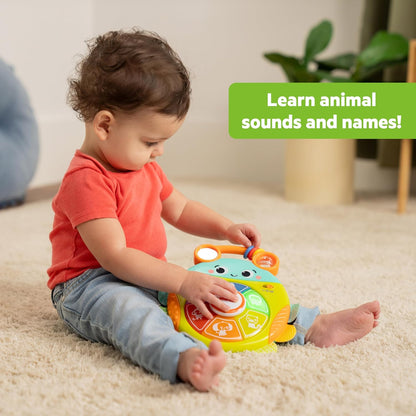 Bright Starts Lights and Colors Driver Toy Steering Wheel with Car Sounds for Pretend Play - Green, 6 Months and up