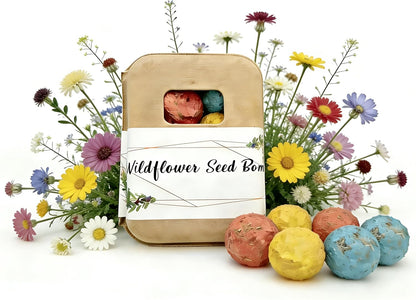 6Pack Colorful Wildflower Seed Ball Plantable Paper Favors, Easter Basket Essentials - Handmade Non-GMO, Gardening Gift for Beginner, Kids & Adults