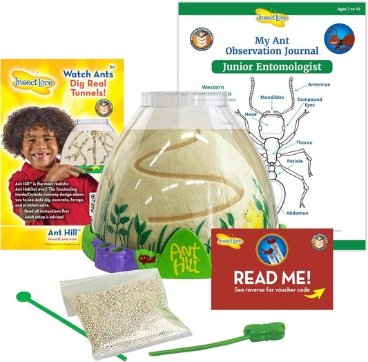 Insect Lore Ant Hill - Ant Habitat with Voucher to Redeem Live Western Harvester Ants - STEM Learning and Education Project for Classrooms or Homeschool