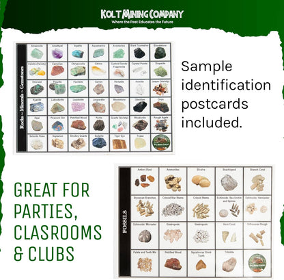 Activity Dig Kit - Adult Geology & Mineralogy Set - Includes Real Fossils, Arrowheads, Shark Teeth, Crystals, Rocks & Gemstones