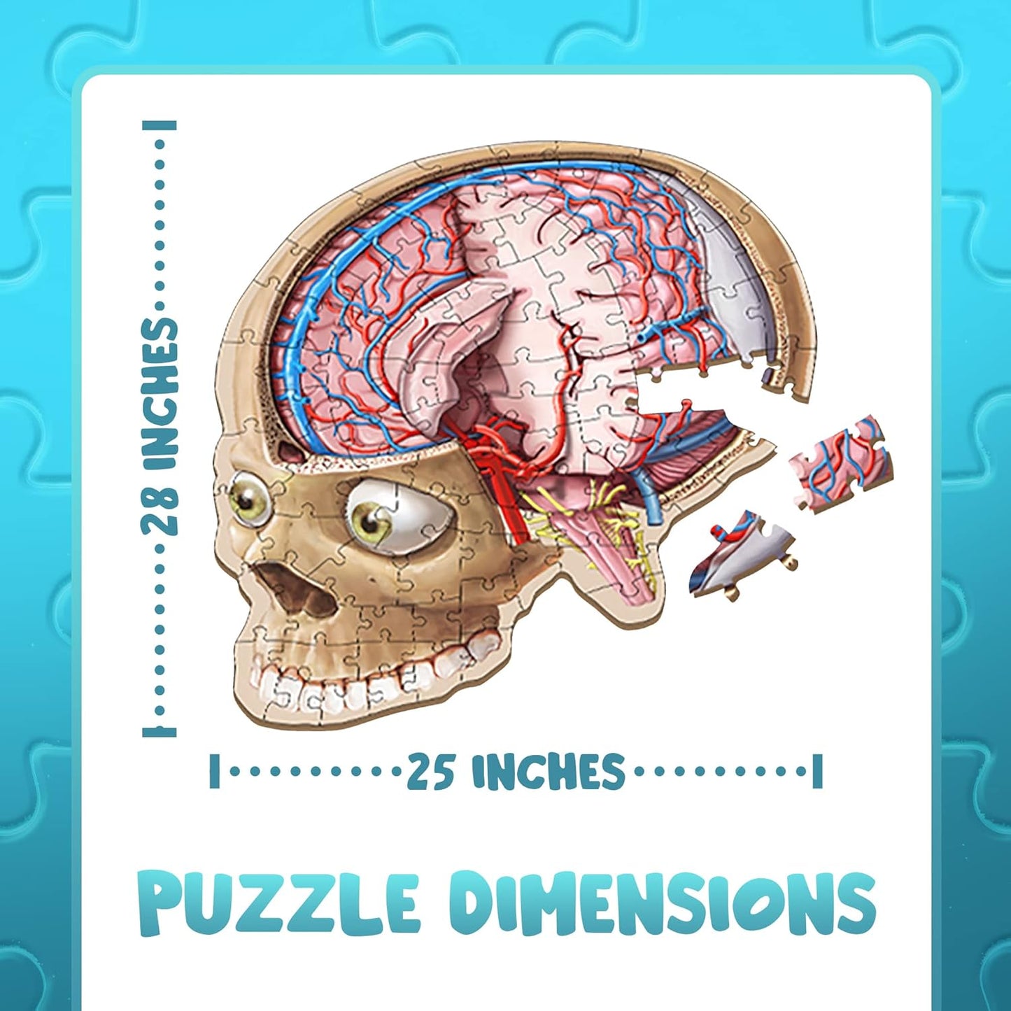 Human Anatomy Kids Floor Puzzle - Dr Livingston Jr's 100-Piece Full Body Jigsaw Puzzle - 4 FT Medically Accurate Floor Puzzles for Kids Ages 6-8, 4-8, 8-10 - Educational Toys for Children, Toddlers