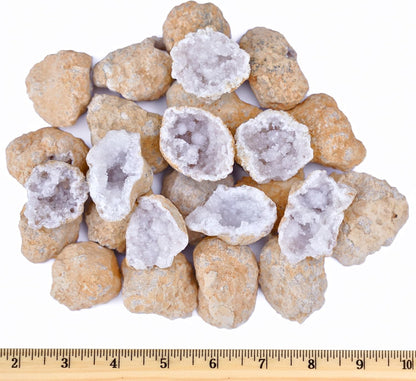 TruEnergy Jumbo Break Your Own Geodes – 2 Massive Natural Crystal Geodes 4.5 to 6.5 Inch, Easy Crack-Open Geology Specimens – Magnifying Glass & Geologist Guide – Gift Ready - [Jumbo]