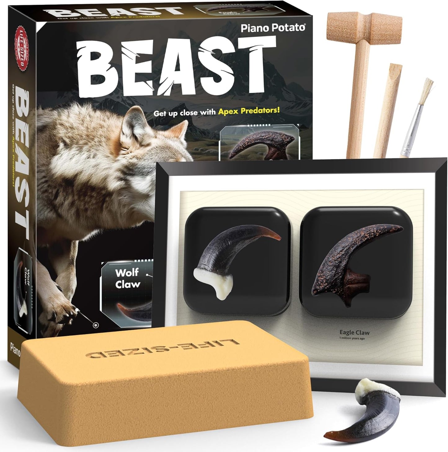 Dinosaur Dig Kit - Excavate 2 Life-Sized Fossils (T.Rex Claw & Ankylosaurus Spine) - STEM Authenticated Science Toy with Tools & Display Frame - Gifts for Boys & Girls Ages 6-12