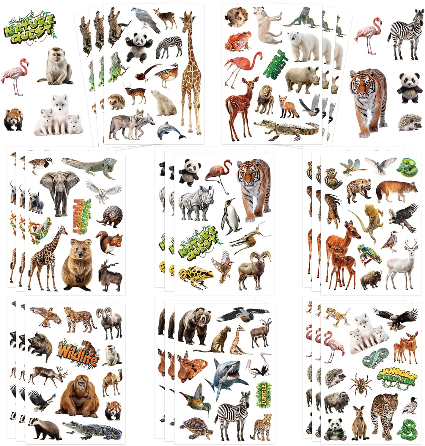 312 Pcs Science Stickers, Chemistry Biology Physics Laboratory Sticker Science Themed Stickers for Craft Supplies Classroom Rewards Party Decorations