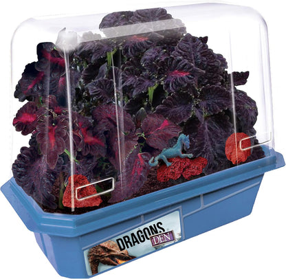 Toys By Nature Miniature Worlds Terrifying Venus Flytrap Terrarium Starter Kit for Kids and Adults, Watch Indoor Carnivorous Fly Traps Grow! Just Add Water! (Frightening Flytraps)