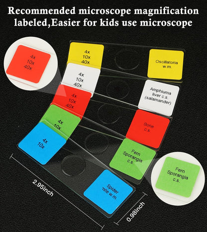 Microscope Slides with Specimens for Kids, 30 Lab-Grade Prepared Microscope Slides, Animal Plant Microbe Cells, STEM Biology Kit for Kids Ages 6-8 Homeschool, Classroom Labs & Science Education