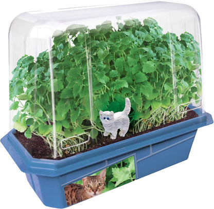 Toys By Nature Miniature Worlds Terrifying Venus Flytrap Terrarium Starter Kit for Kids and Adults, Watch Indoor Carnivorous Fly Traps Grow! Just Add Water! (Frightening Flytraps)