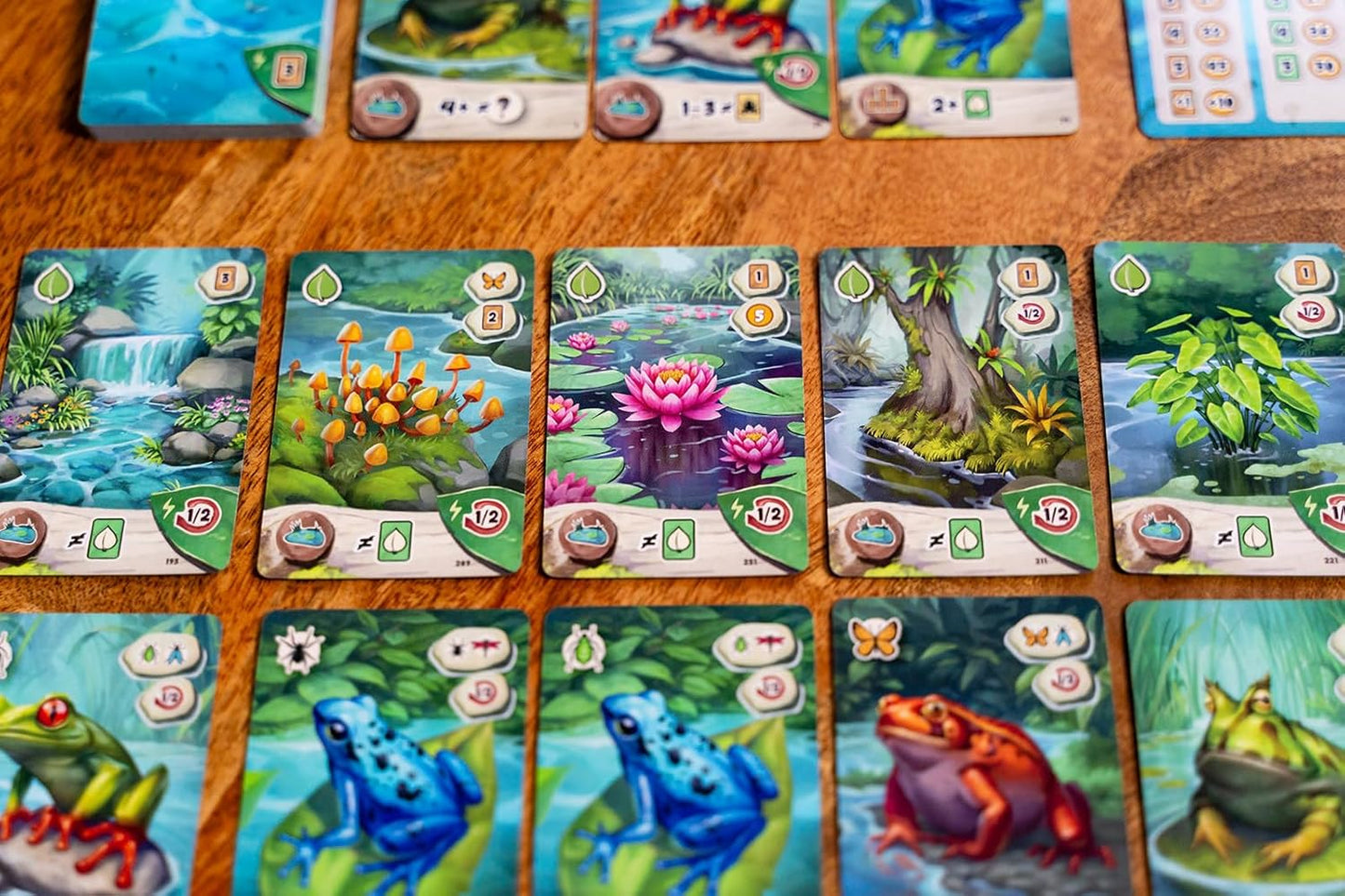 Pondscape, Cozy Family Strategy Card Game for Kids and Adults – for 1–4 Players, Ages 8+ – Family Games Night Essential