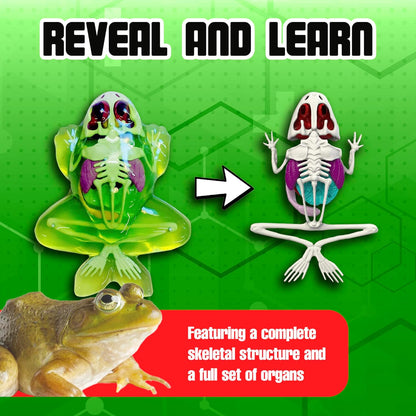 Dissect-It Discover-It Dinosaur Dig Kit, Dissecting Gel Kids Science Kit Project to Learn Anatomy, STEM Toys for Ages 6 and Above