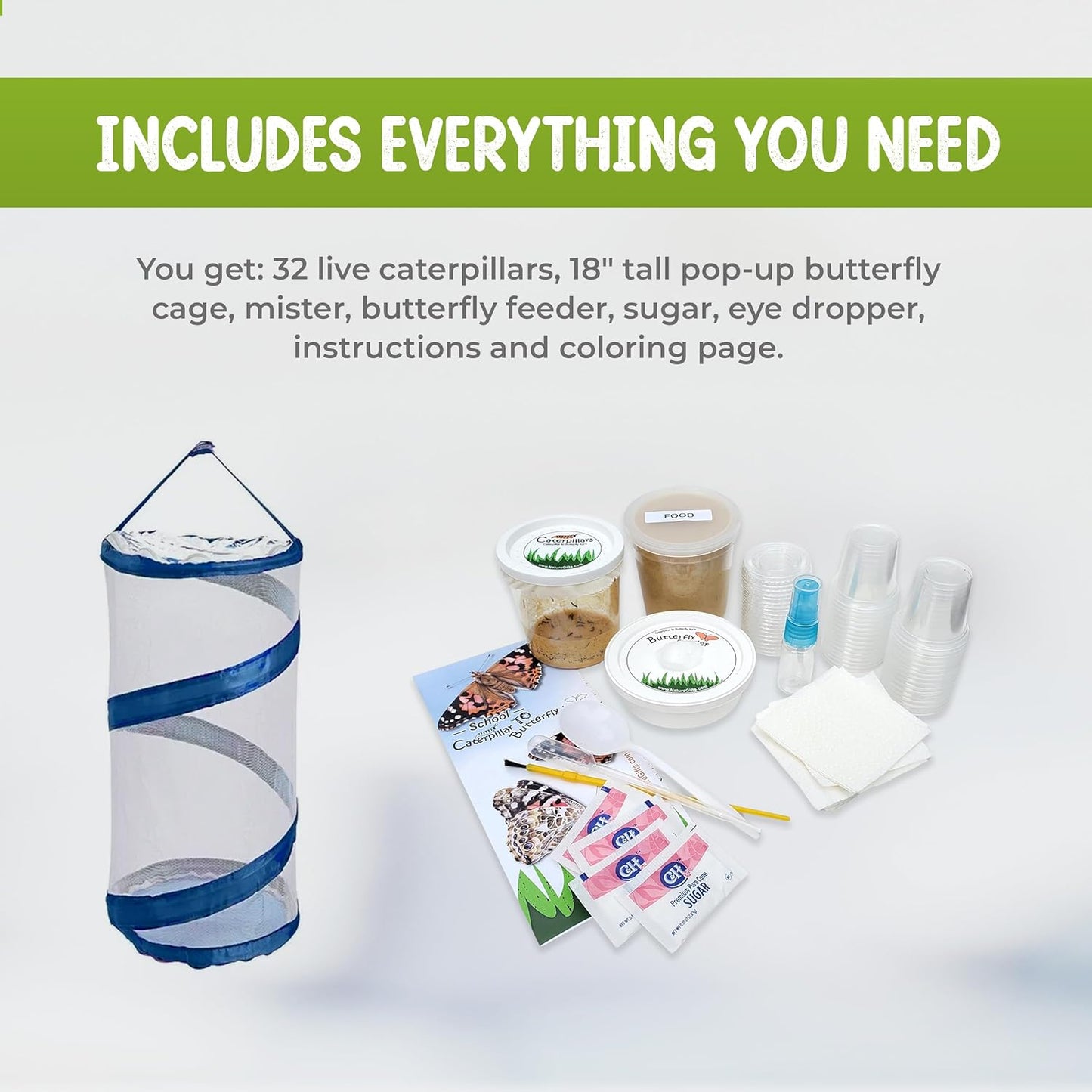 30 Live Caterpillars for Butterfly Habitat Kit - Refill for Painted Lady Butterfly Kit with Caterpillar Food, Instructions - Educational Science Kit, 6 Cups of 5 Caterpillars