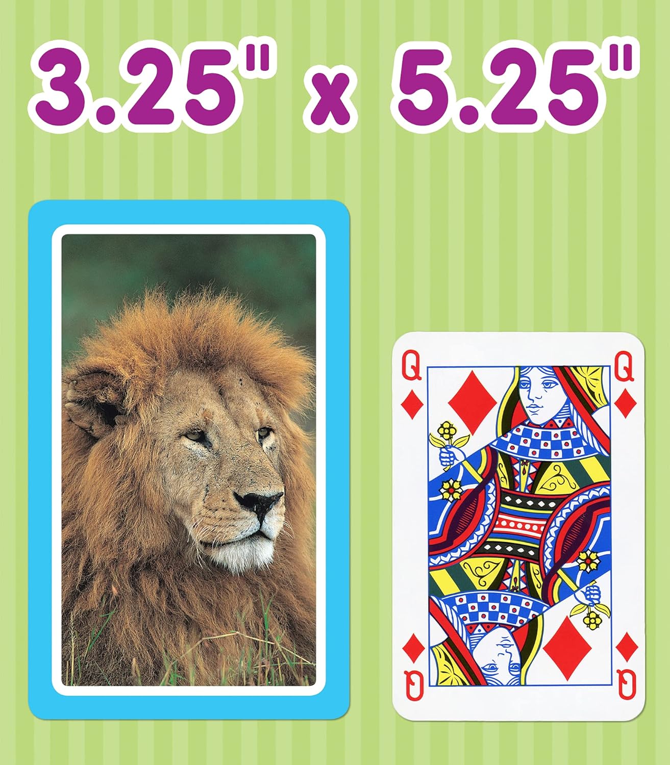 Carson Dellosa 54 Animal Flash Cards, Zoo, Reptiles, Bugs, Sea Creatures, and More Flashcards, Toddler Stocking Stuffers, Preschool Learning Activities for Kids Ages 4 and Up