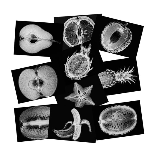 Vegetable, Fruit and Plant X-Rays, Set of 10, Simulation Specimen, Science Experiment Material for Kindergarten, Light Table, Montessori & Reggio-Inspired (Vegetables)