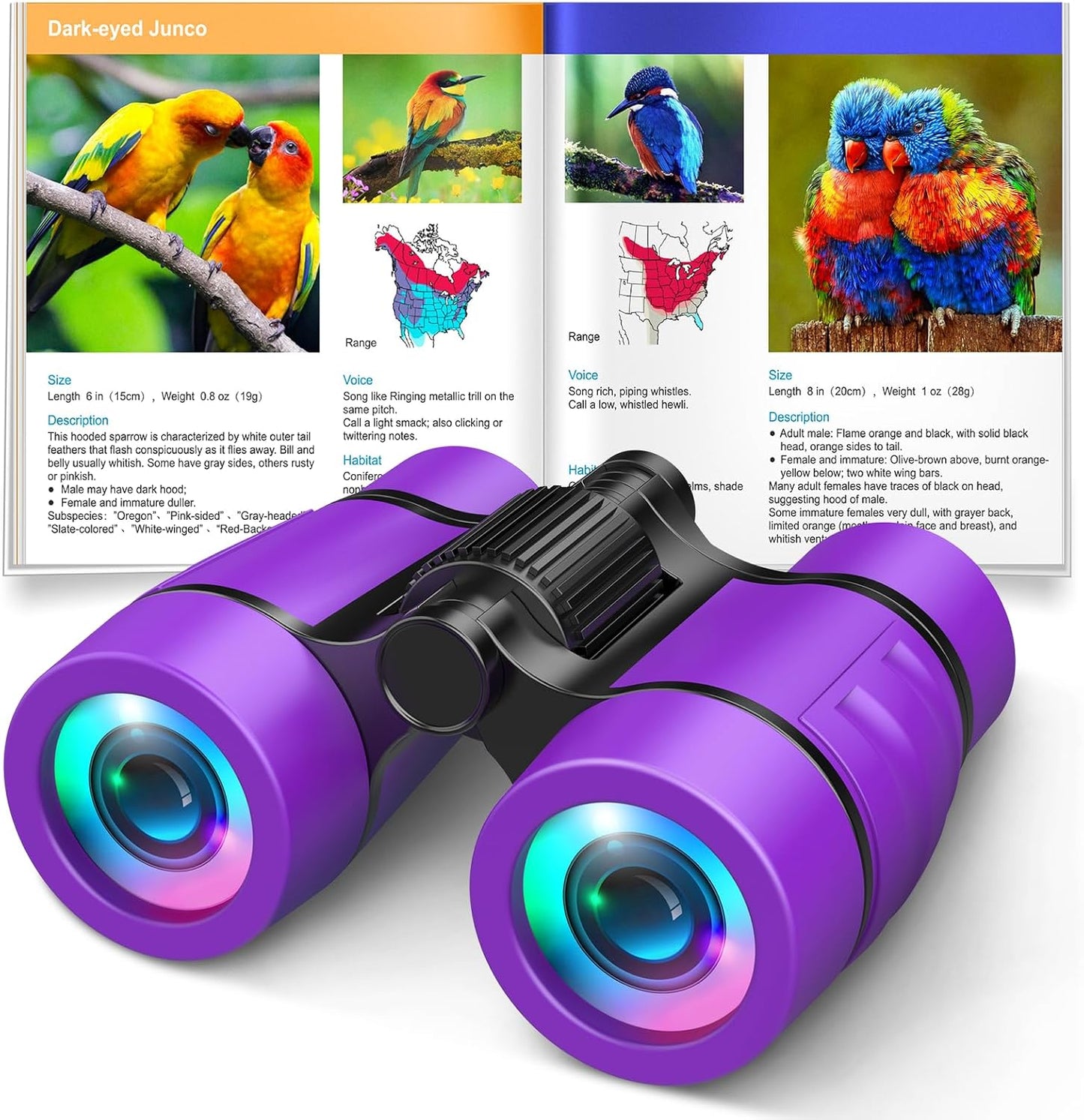 Toys for 3-7 Year Old Boys: LET'S GO! Binoculars for Kids with Bird Watching Manual Easter Birthday Gifts for 4 5 6 7 8 Year Old Boy Girls Outdoor Toy for Kid Ages 5-7 Toddler Camping Telescope