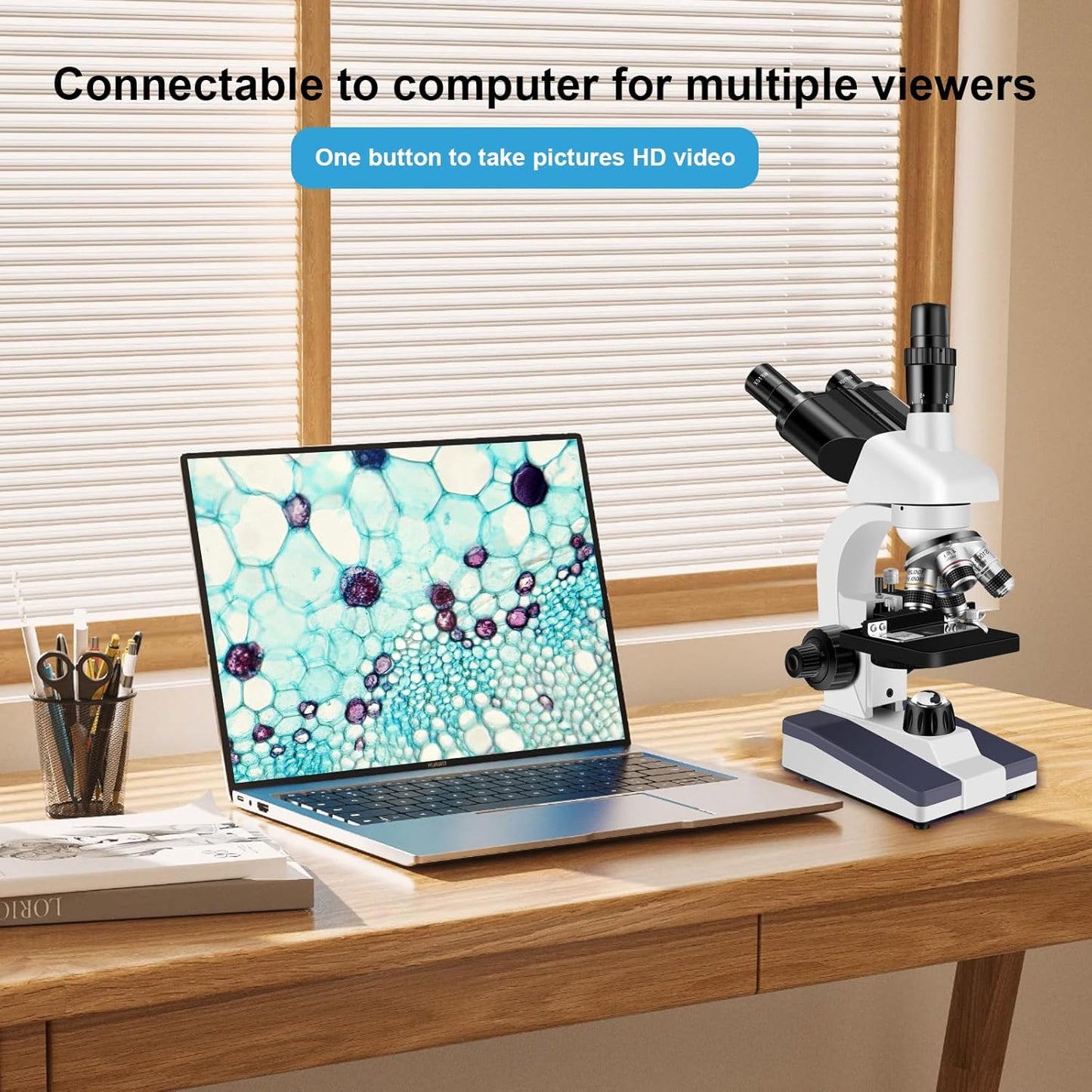Microscopes for Adults WF10x and WF25x eyepieces Compound Microscope with Microscope Slides, Microscopes Kit for Kids Students Home School (Monocular Microscope with Big Bundle)