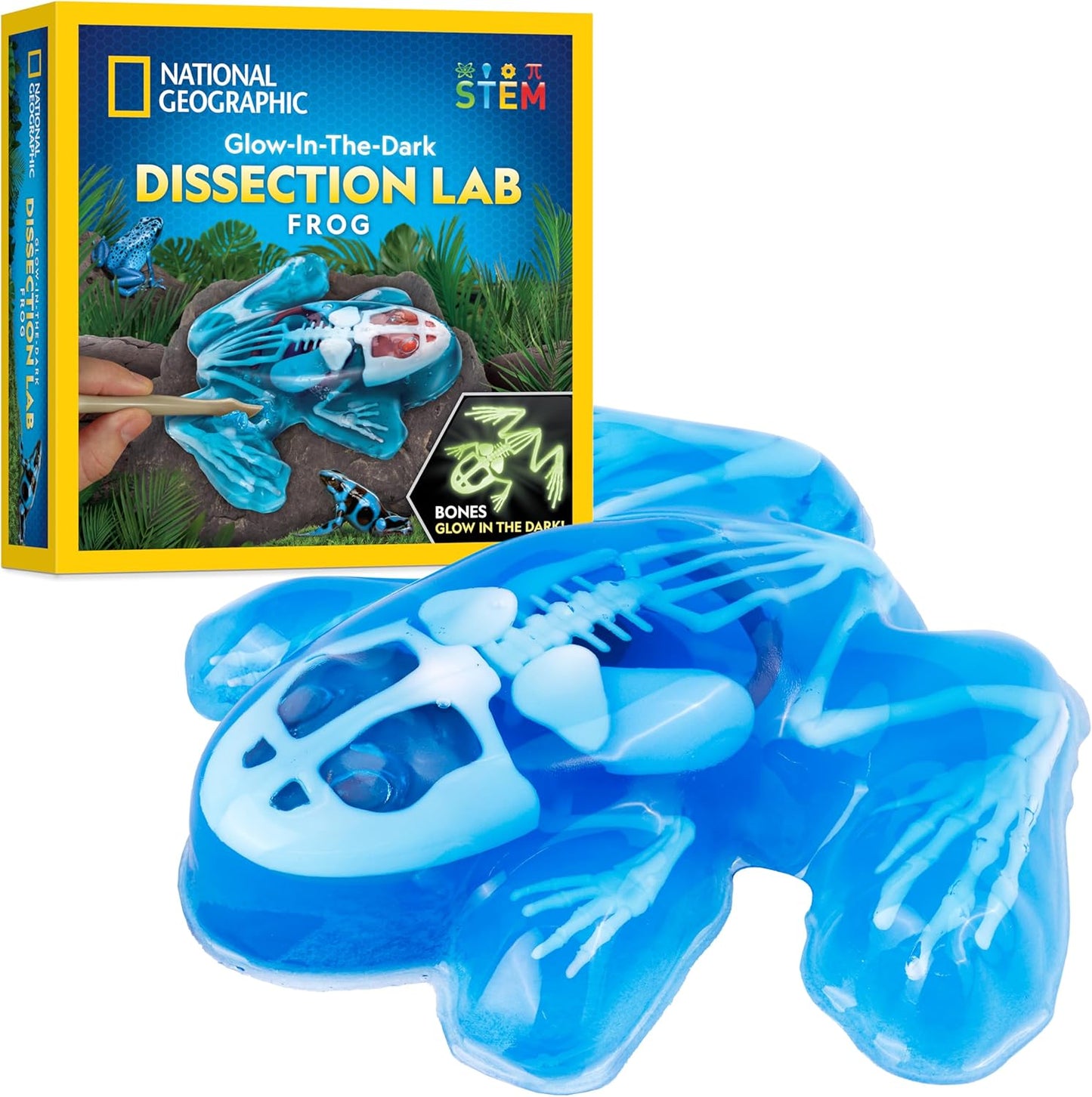 National Geographic Shark Dissection Kit – Glow in the Dark Great White Shark Anatomy Lab with 12 Bones & Organs, Refill Pack, Kid-Friendly Tools & Learning Guide