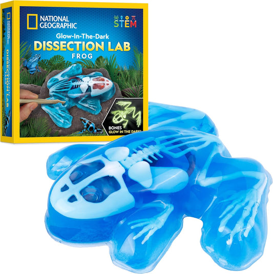 National Geographic Shark Dissection Kit – Glow in the Dark Great White Shark Anatomy Lab with 12 Bones & Organs, Refill Pack, Kid-Friendly Tools & Learning Guide