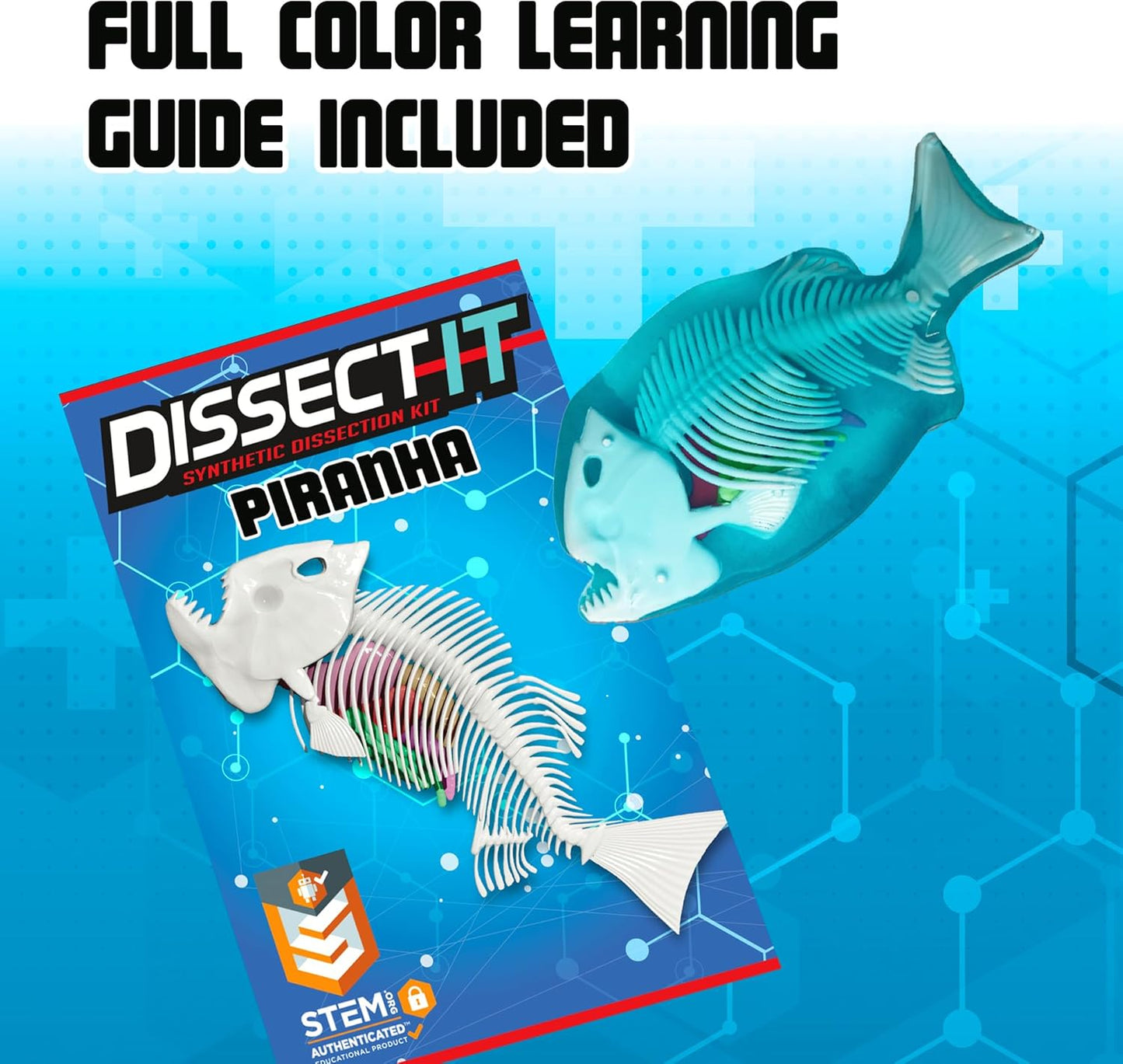 Dissect-It Discover-It Dinosaur Dig Kit, Dissecting Gel Kids Science Kit Project to Learn Anatomy, STEM Toys for Ages 6 and Above
