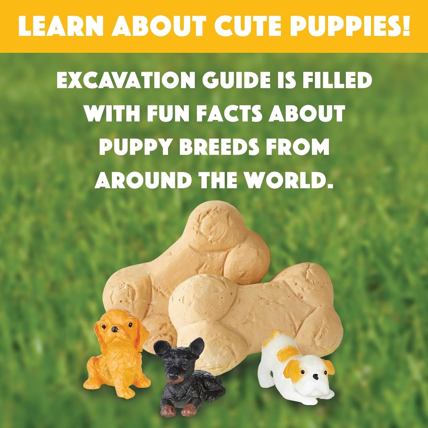 MindWare Dig it Up! Puppies Excavation Kit - Educational Toys for Kids 4 and Up - Dig Kit with 12 Bones, 12 Puppy Figurines, 12 Chisels - Ideal for Group Activities, Events or Classroom Brain Breaks