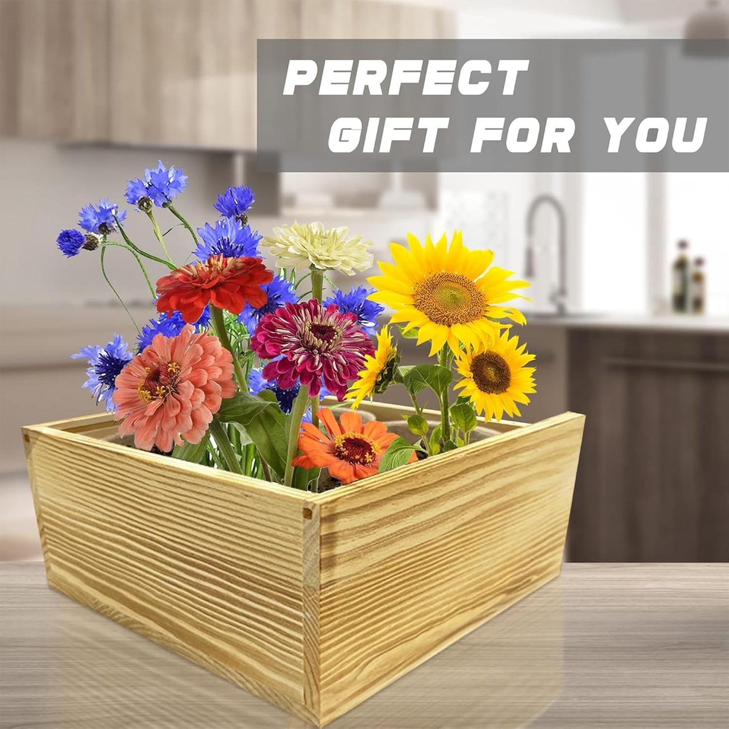 Meekear Indoor Starter 4 Kit with Complete Gardening Kit & Wooden Box, Growing into Shasta Daisy, Cornflower, Sunflower, Zinnia