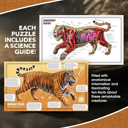 Bullfrog Animal Anatomy Floor Puzzle | 100-Piece Double Sided Jigsaw Puzzle | Large-Sized, Over 4 Feet Scientifically Accurate Illustration of Frog - Fun and Educational Toy for Kids, Toddlers