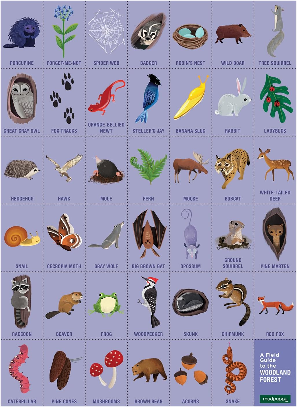 Mudpuppy Rainforest — 64 Piece Search & Find Puzzle Jigsaw Puzzle Featuring Diverse and Exotic Rainforest Animals and Over 40 Hidden Images to Find for Ages 4+