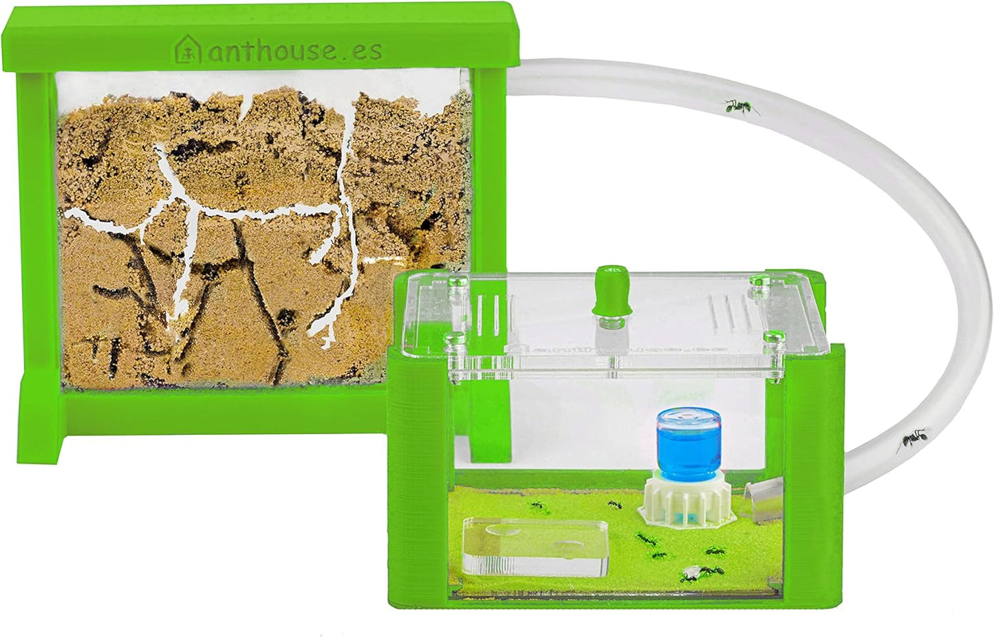 Anthouse.ES - Natural Sand Ant Farm - Basic Acrylic Kit (Sandwich + Foraging Box) - 12x10x1 cm and 18x10x5 cm
