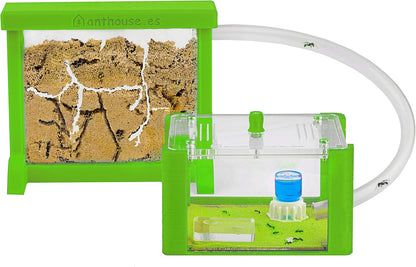 Anthouse.ES - Natural Sand Ant Farm - Basic Acrylic Kit (Sandwich + Foraging Box) - 12x10x1 cm and 18x10x5 cm