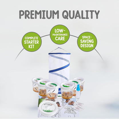 Nature Gifts Live Butterfly Kit - School-Sized Educational Experience with 30 Painted Lady Caterpillars in 6 Cups - Pop-Up Cage, and Comprehensive Rearing Supplies for Classroom Engagement
