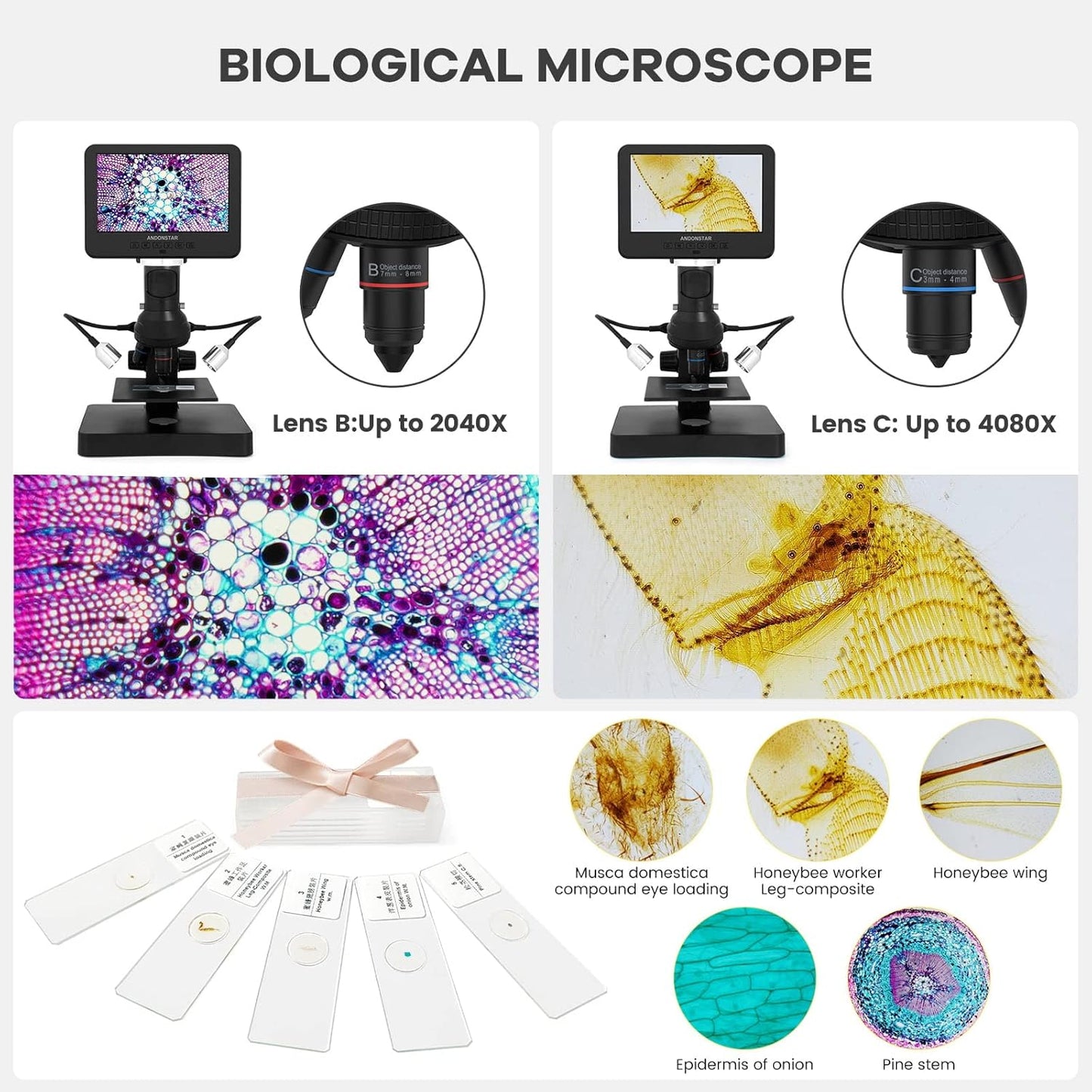 Andonstar AD246S-P HDMI Digital Microscope with 7'' Screen, 4000x 3 Lens 2160P UHD Video Record, Coin Microscope for Error Coins, Biological Microscope Kit for Adults and Kids, Prepred Slides