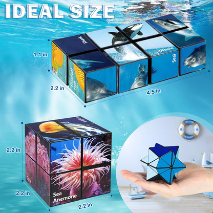 Star Cube Magic Cube Set, 2 in 1 Yoshimoto Cube for Kids and Adults, Toy for Boys and Girls Ages 8-12