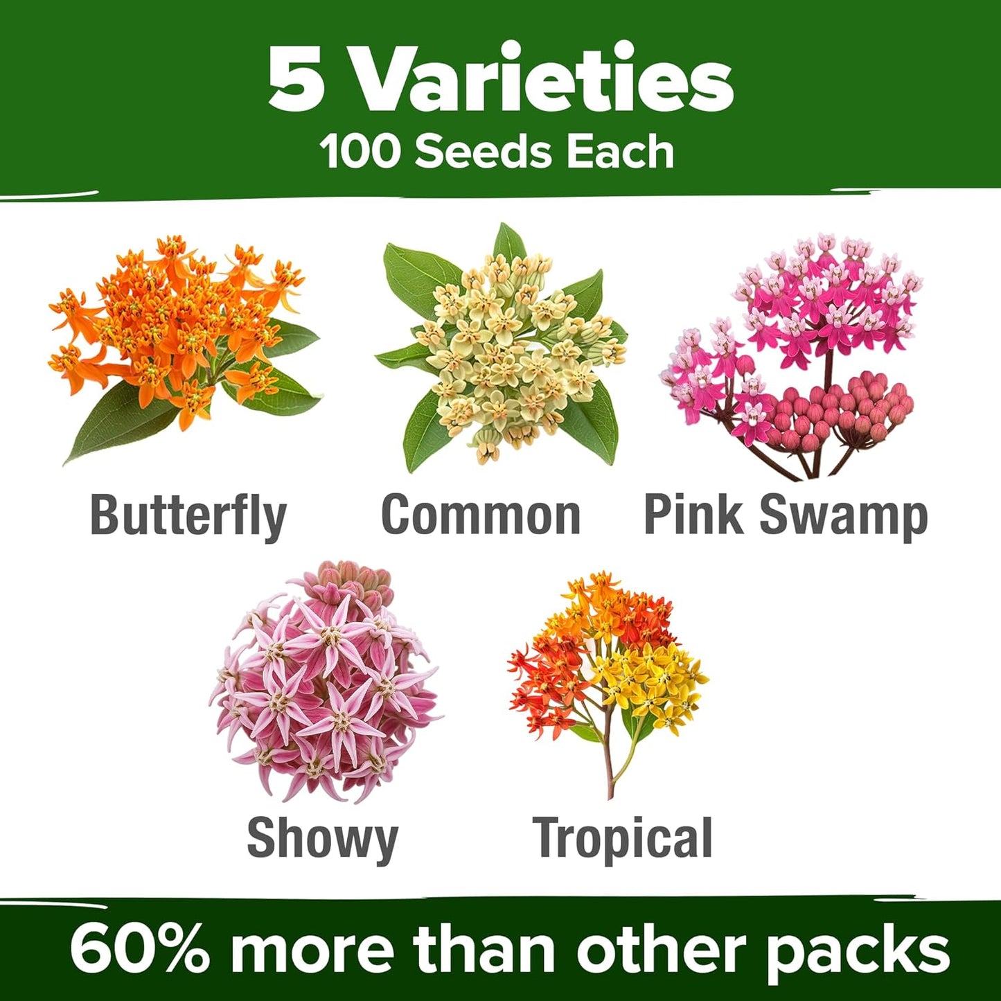 HOME GROWN Milkweed Flower Seeds - 500 & Monarch Butterfly Wildflower 20000