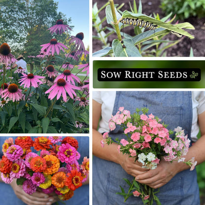Sow Right Seeds - Butterfly Seed Collection for Planting - Milkweed, Zinnias, Phlox, and Echinacea - Seed Kit for Pollinators - Non-GMO Heirloom with Instructions to Plant & Grow - Makes a Great Gift