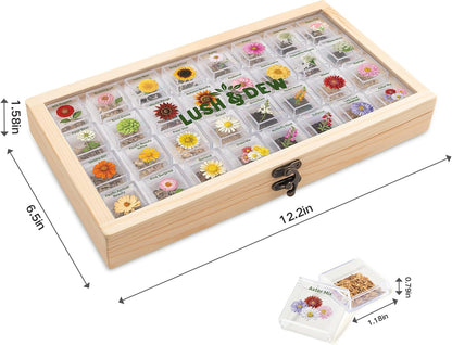 Lush&Dew Ancestral Apothecary Medicinal Tea Herb Seed Chest, 36,000+ Non-GMO Survival Seed Kit, Gardening Gifts for Women Men, 40 Types Heirloom Garden Seeds for Planting Herbs, Raised Bed Windowsill