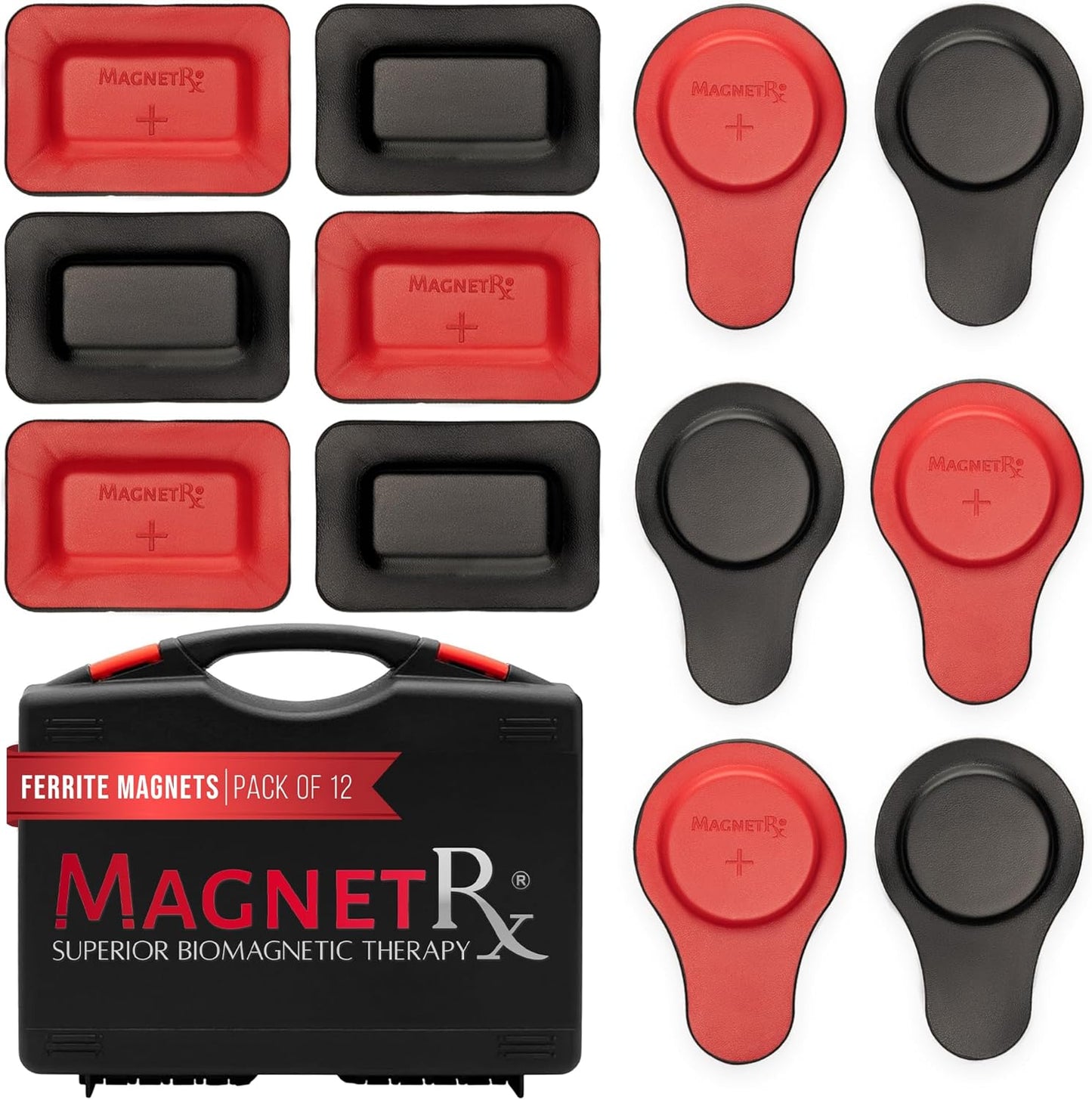 MagnetRX® Biomagnetic Magnets Kit – Imanes para Biomagnetismo Médico – Dr Goiz Magnets for Biomagnetism Bio Magnet Pair – 5200 Gauss Large Round Magnet (6 Units)