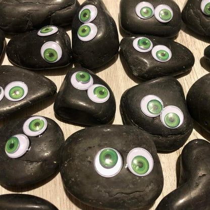 Rock Pet Adoption Kit Funny Novelty Gag Gift (Green Eyes)