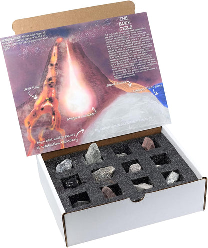 EISCO Rock Cycle Kit - 12 Pieces - Metamorphic, Igneous & Sedimentary Rocks - 1" Specimens - Geology Activity for Ages 8+