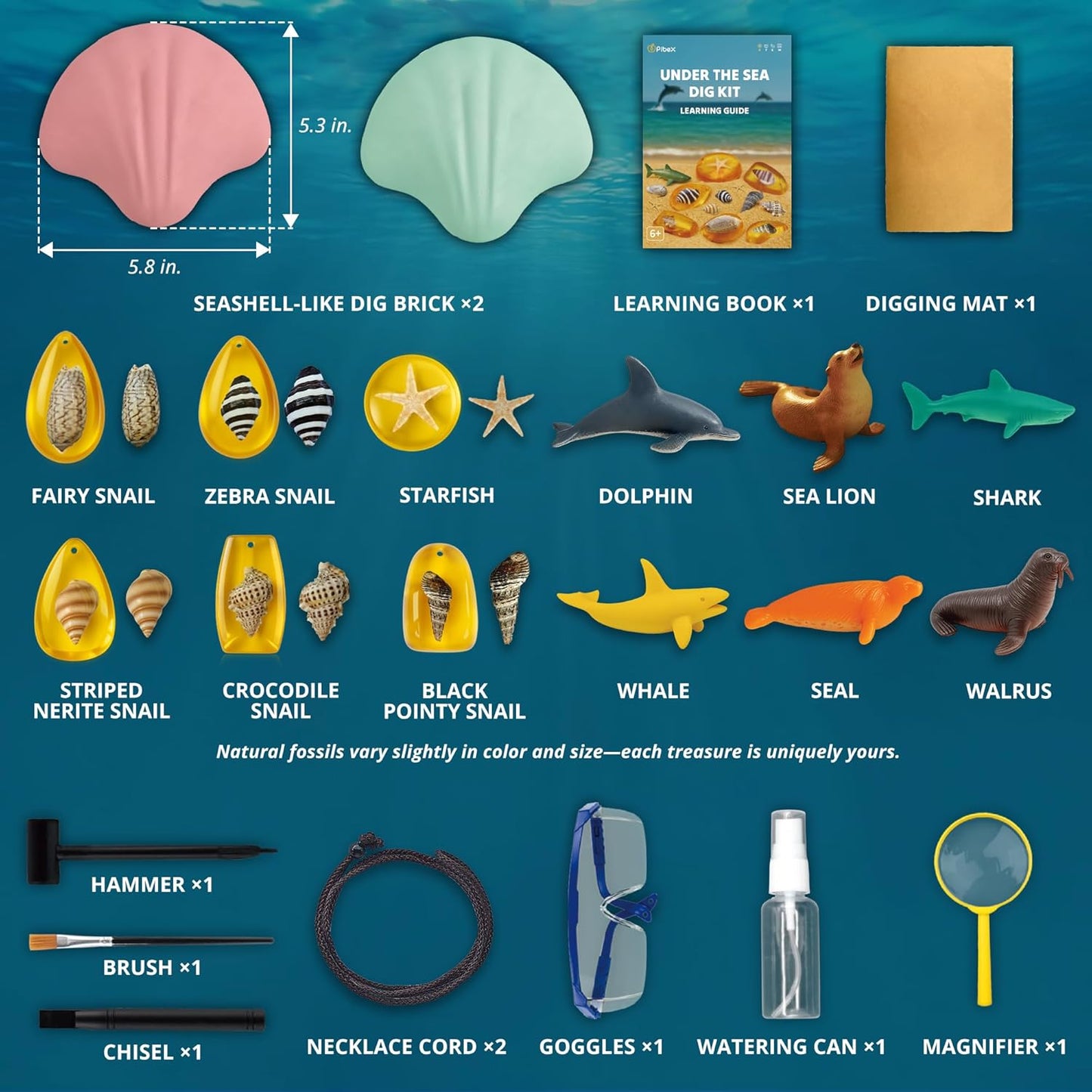 PIBEX Under-The-Sea Dig Kit – Dig & Discover 18 Real Shell Fossils, Amber Jewelry & Sea Animal Creatures – Ocean Necklace Making & STEM Excavation Activity Toy for Kids Ages 6+