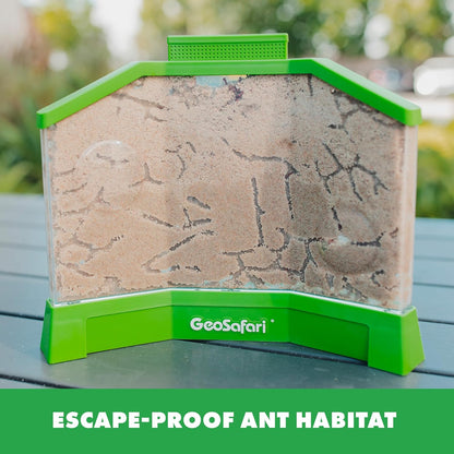 Educational Insights GeoSafari Ant Factory - Classroom Ant Farm with Live Ants, Kids Science Kit, At Home STEM Bug Kit, Habitat for Viewing Ants, Starter Sets and Nature Toys for Ages 5+