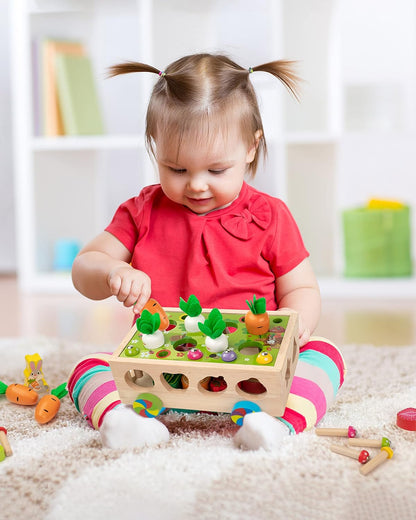 Coogam Montessori Fine Motor Toys for Baby Toddler, Wooden Shape Sorter Carrot Harvest Game for Easter Basket Stuffer, Preschool Learning Educational Gift Toy for 3 4 5 Year Old