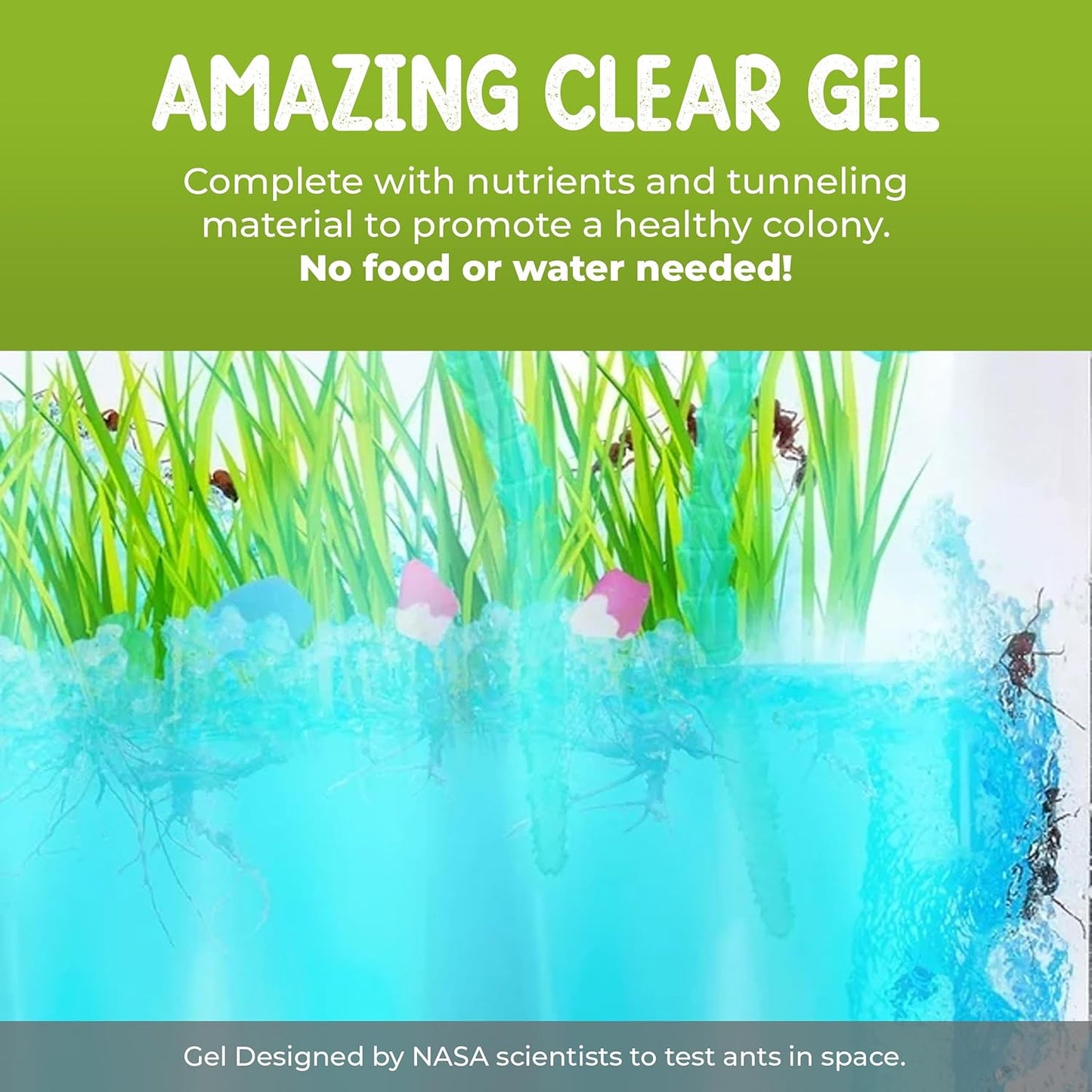 LED Lighted Gel Ecosystem Ant Habitat with 25 Live Ants - Eco-Terrarium Set - Includes Nutrient Gel, Seeds, Palm Trees, Rocks, and More